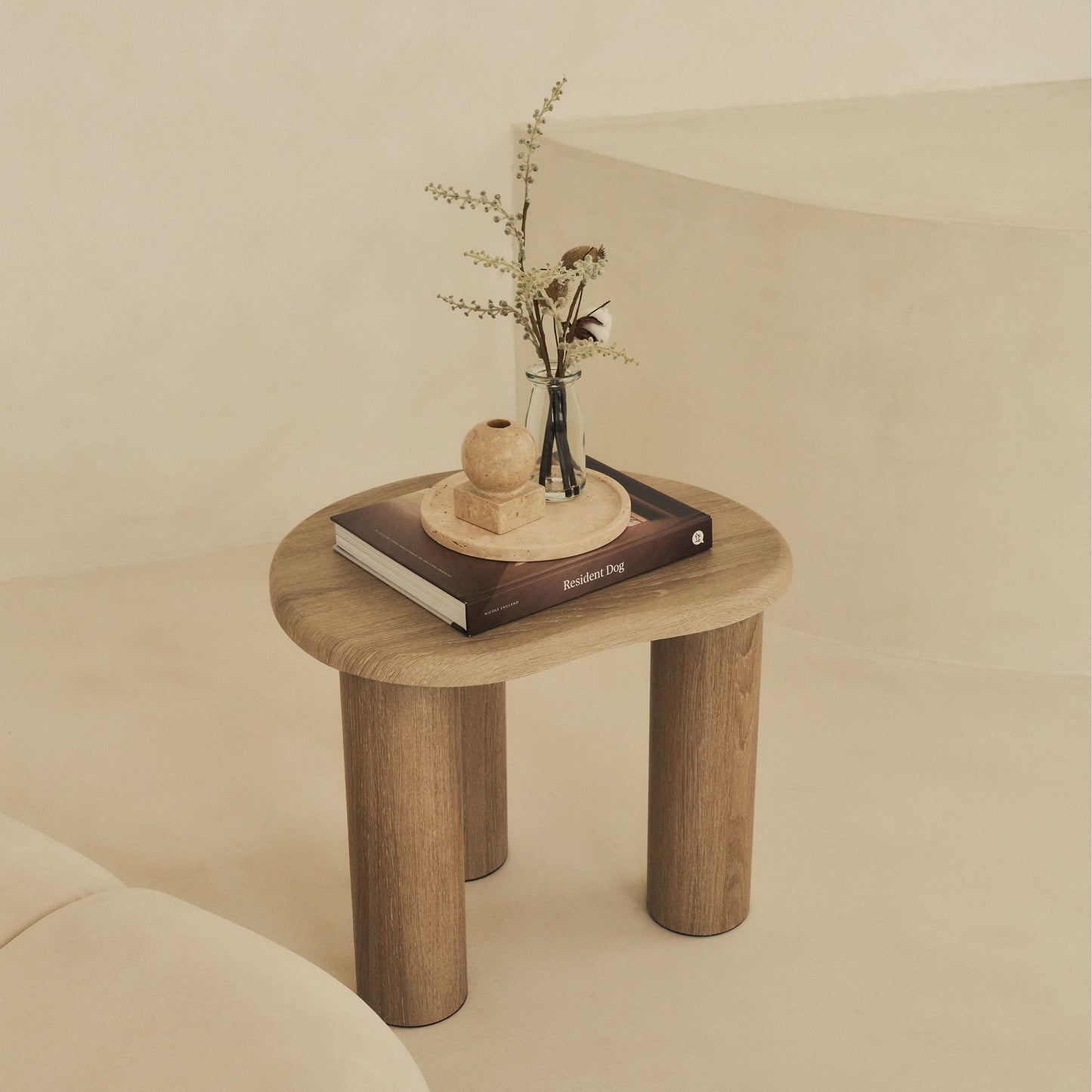 Savanna - Table d'Appoint en Bois Lavé Irregulier
