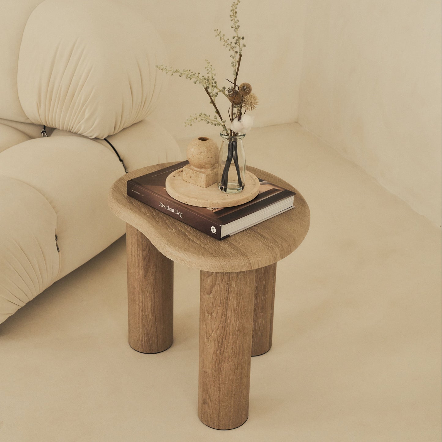 Savanna - Table d'Appoint en Bois Lavé Irregulier